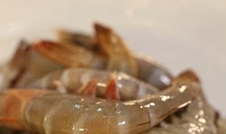 海白蝦去除蝦須，蝦線，用清水洗凈。鍋中放清水燒開，放入海白蝦，焯水備用