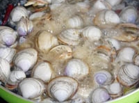 待蛤蜊殼煮開后打開蓋子，放入黃油、生抽，攪勻；