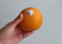 橙子用細鹽搓洗乾淨；