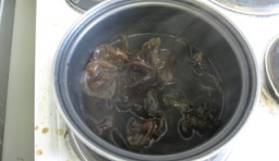 在鍋中加入適量的水燒熱，微煮30秒后撈出，要過涼開水；

