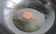 炒鍋加熱，注入適量的食用油燒熱，放入花椒粒，炒出香味；
