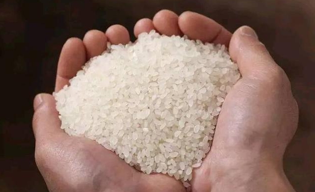 大米和小米，誰的營養價值更高？喝小米粥，真的能養胃嗎？